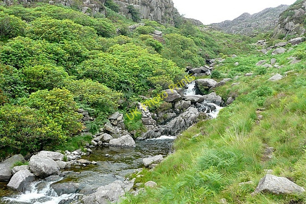 Photo 6"x4" Path by Afon Llynedno Bethania\/SH6250 c2009