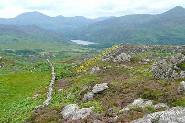 Photo 6"x4" View from below Moel Meirch Bethania\/SH6250 c2009