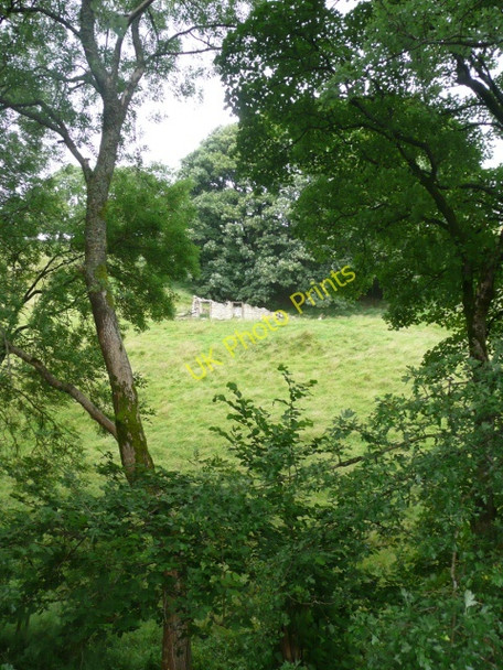 Photo 6"x4" Ruined barn at Murthwaite Fell End\/SD7298 c2009