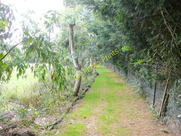 Photo 6"x4" Footpath to Almodington Somerley\/SZ8198 c2009