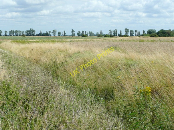 Photo 6"x4" Moulton West Fen 2 Brotherhouse Bar c2009