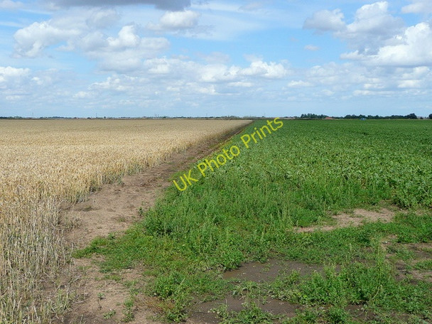 Photo 6"x4" Deeping Fen Deeping St Nicholas c2009
