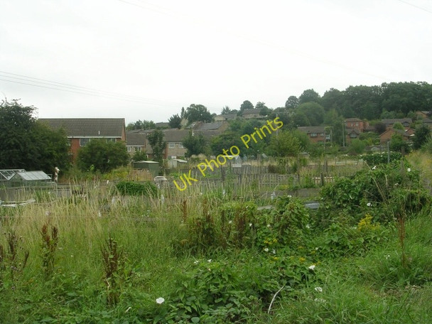 Photo 6"x4" Allotments - Ingham Avenue Combs\/SE2419 c2009
