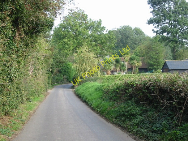 Photo 6"x4" Hay Lane, Ham Felderland c2007