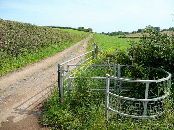 Photo 6"x4" Footpath and farm track English Bicknor c2009