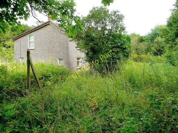 Photo 6"x4" Neglected cottage at Scowles 1 Scowles c2009