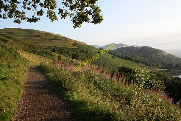 Photo 6"x4" Path on the eastern side of Millennium Hill Little Malvern c2009