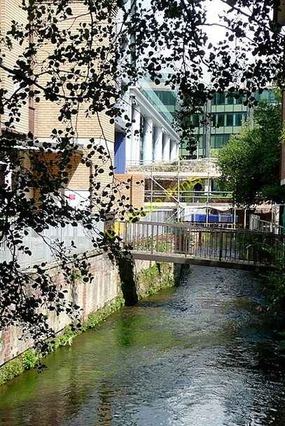 Photo 6"x4" The Holybrook Reading c2009