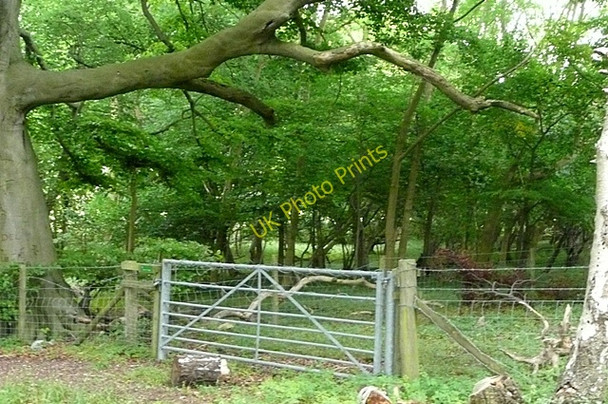 Photo 6"x4" Gate below Shirburn Hill Christmas Common c2009