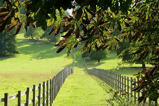 Photo 6"x4" Bridleway to Ibstone Turville c2009