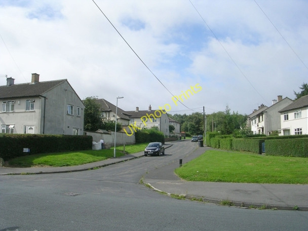 Photo 6"x4" Stutely Grove - Alandale Road Bradley\/SE1620 c2009