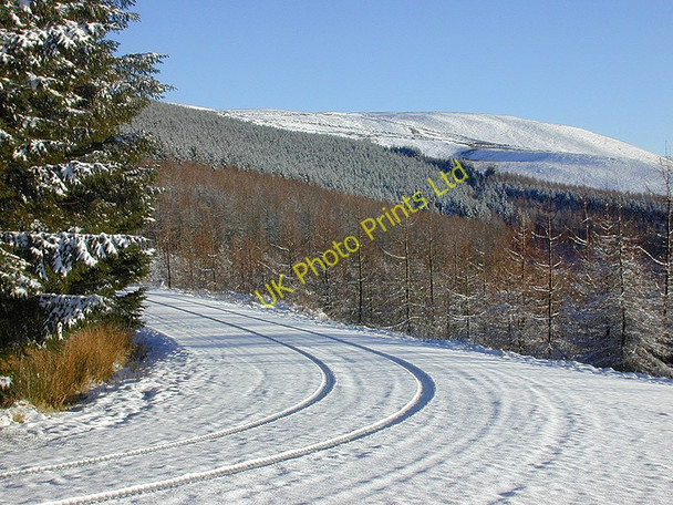 Photo 6"x4" Forest road junction near Banc yr Adarn Cwmystwyth c2001