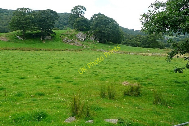 Photo 6"x4" Dolbryn Coch Capel Curig c2009