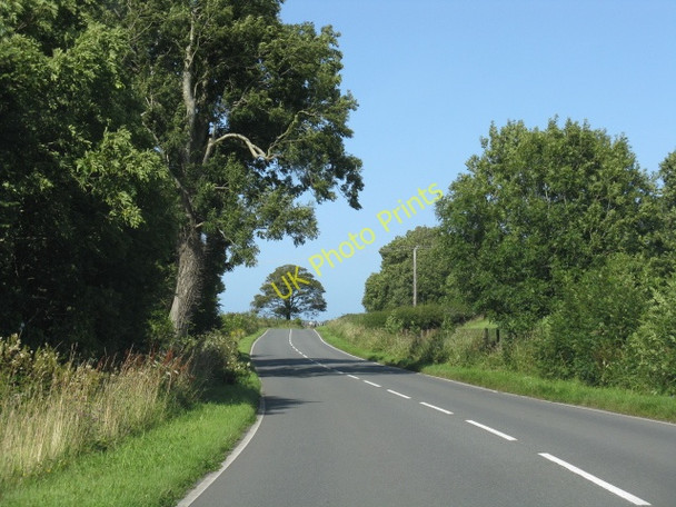 Photo 6"x4" Climbing Toward Llanddyfnan Talwrn\/SH4977 c2009