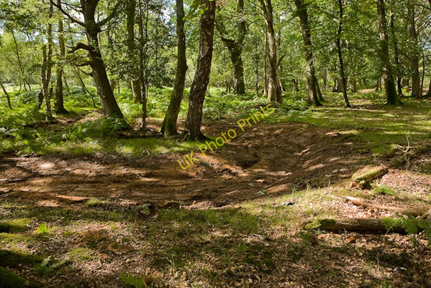 Photo 6"x4" Warwickslade Cutting: the new stream takes shape Bank\/SU2807 c2009 P2