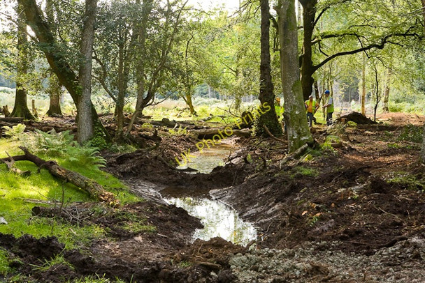 Photo 6"x4" Warwickslade Cutting: new meander Bank\/SU2807 c2009
