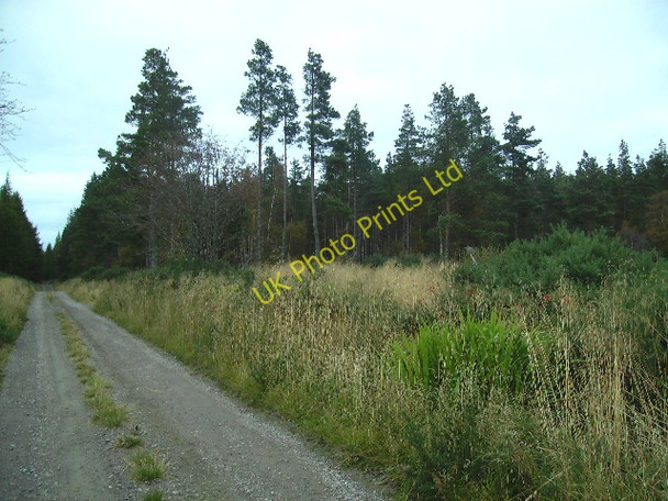 Photo 6"x4" The Track to Oldpots Whitemire\/NH9754 c2007