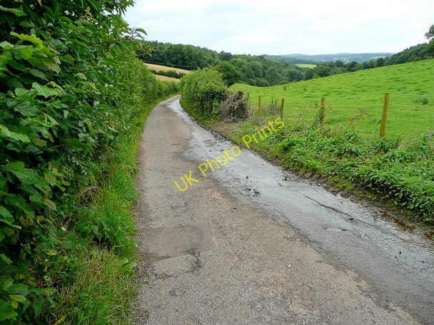 Photo 6"x4" Lane south from Staunton Staunton\/SO5512 c2009