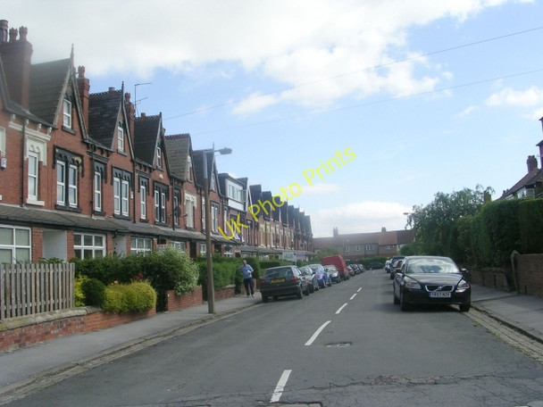 Photo 6"x4" Roman Grove - Roman Terrace Lidgett Park c2009