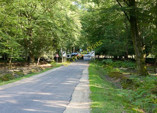 Photo 6"x4" Ornamental Drive about to cross A35 road Bank\/SU2807 c2009