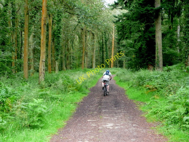 Photo 6"x4" Uphill from here Hillersland c2009