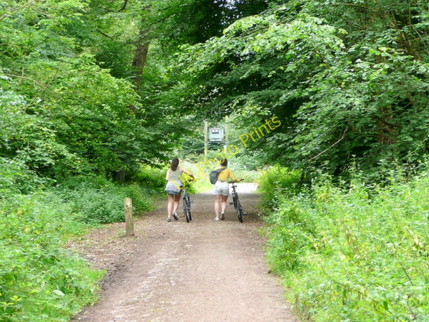 Photo 6"x4" Forest footpath users, 2 Staunton\/SO5512 c2009