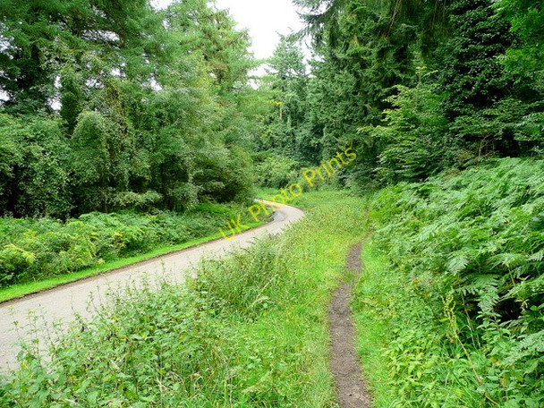 Photo 6"x4" Braceland Road 3 Berry Hill\/SO5712 c2009