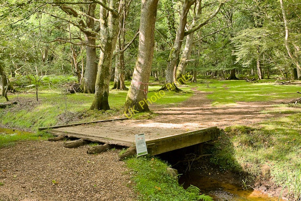 Photo 6"x4" Bridge over Warwickslade Cutting Bank\/SU2807 c2009