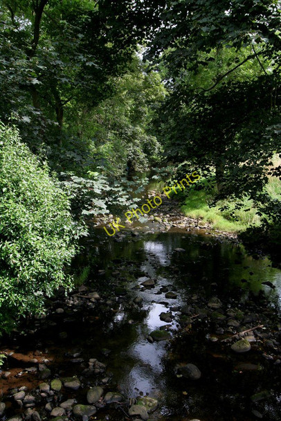 Photo 6"x4" River Washburn Clifton\/SE1948 c2009