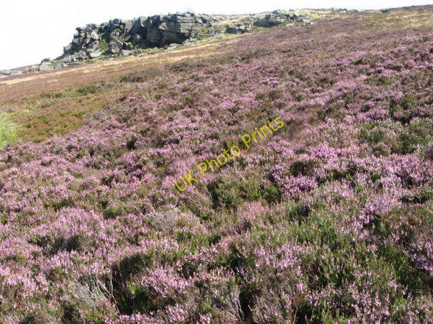 Photo 6"x4" Howshaw Tor Howshaw Tor c2009