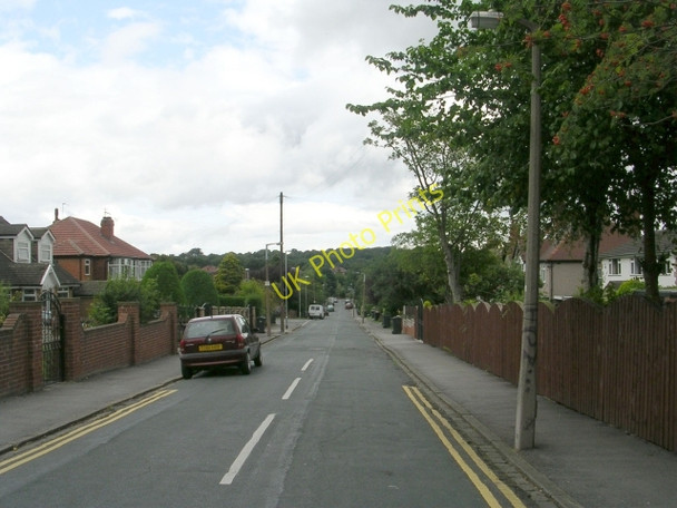 Photo 6"x4" Westcombe Avenue - Street Lane Lidgett Park c2009