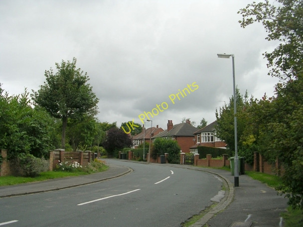 Photo 6"x4" Earlswood Avenue - Westcombe Avenue Lidgett Park c2009