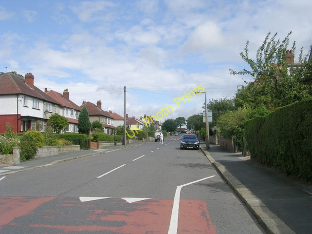 Photo 6"x4" Talbot Road - viewed from East Moor Road Lidgett Park c2009