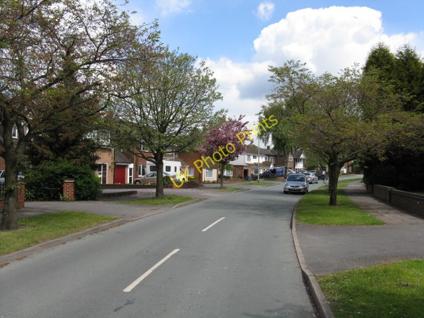 Photo 6"x4" Walsall - Springvale Avenue Walsall c2010
