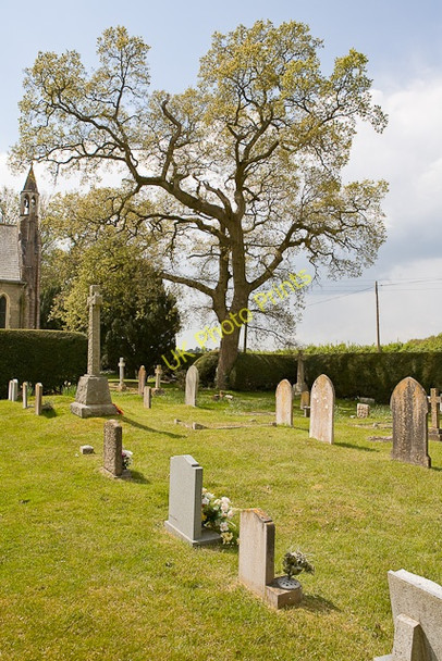 Photo 6"x4" Graveyard on north side of St Paul's Church, Bisterne Bisterne c2010