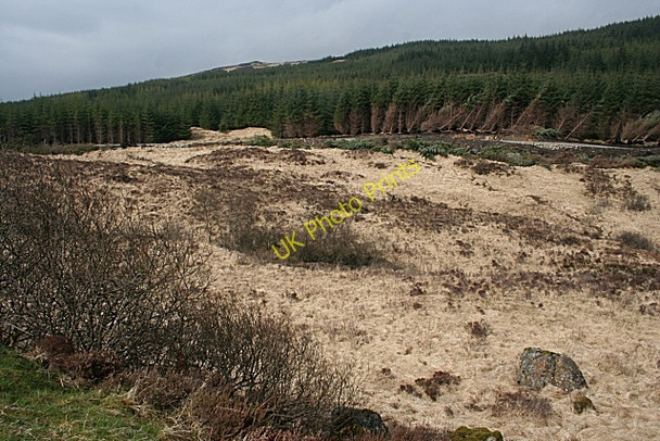 Photo 6"x4" Druim Reidh Inverneill c2010 P1