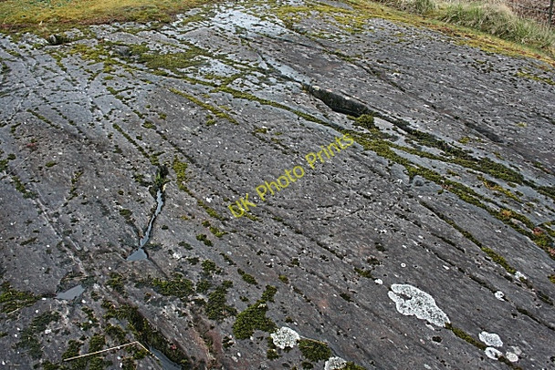 Photo 6"x4" Cup-and-Ring Marked Rocks (5) Lochgilphead c2010