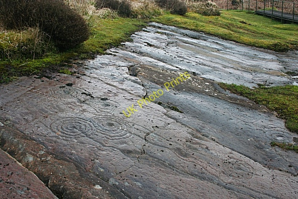 Photo 6"x4" Cup-and-Ring Marked Rocks (8) Lochgilphead c2010