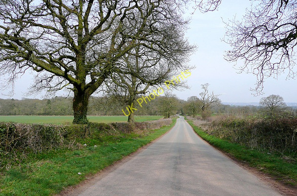 Photo 6"x4" Morfe Lane near Enville, Staffordshire Blundies c2010