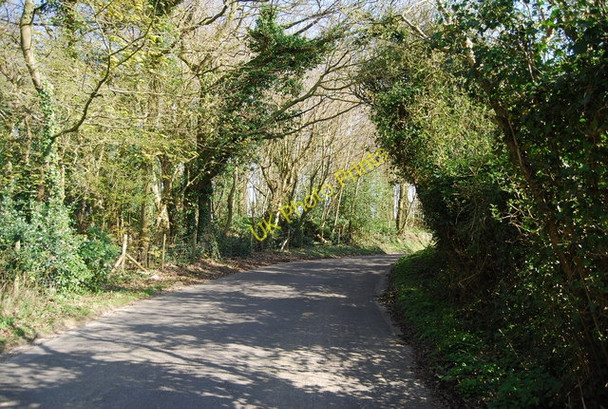 Photo 6"x4" Bend in Martineau Lane Bachelor's Bump c2010