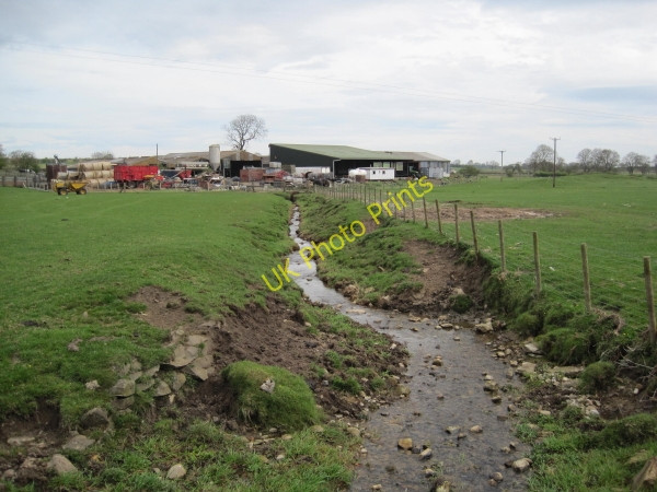 Photo 6"x4" Bowbridge Burn, Great Whittington Great Whittington c2010