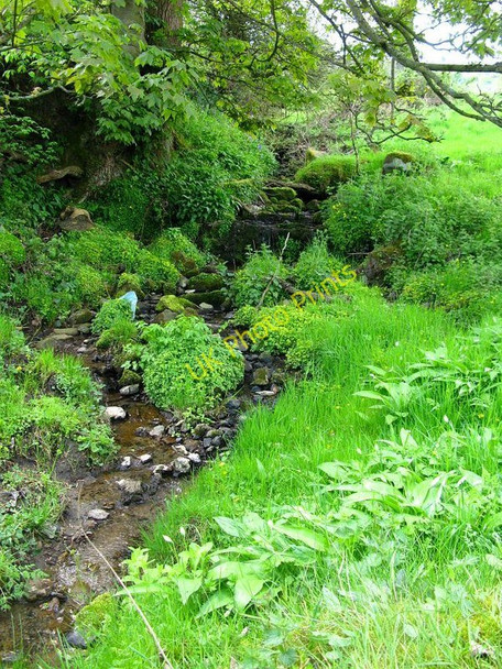 Photo 6"x4" A brook alongside a footpath Kelstedge c2010