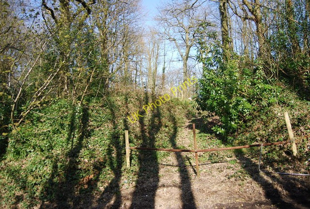 Photo 6"x4" Track into a woodland by Martineau Lane Bachelor's Bump c2010