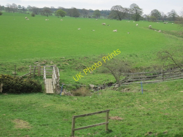 Photo 6"x4" Footbridge over the River Pont Great Whittington c2010