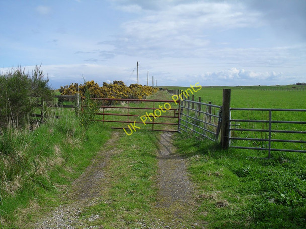Photo 6"x4" Track to Golf course Dalchalm c2010
