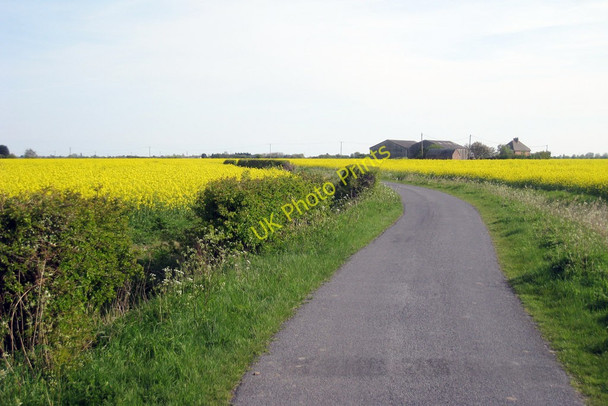 Photo 6"x4" Tame Lane Farm Donkey Street c2010