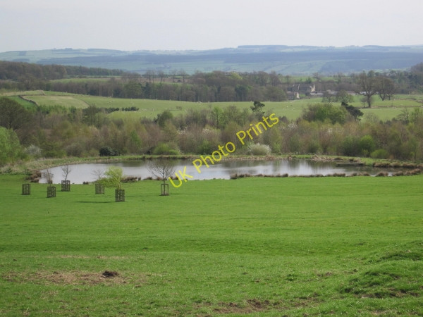 Photo 6"x4" Pond near Halton Castle Halton\/NY9967 c2010