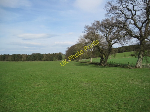 Photo 6"x4" Footpath towards Toft Hill Great Whittington c2010