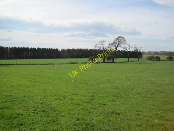 Photo 6"x4" Farmland and Plantation near Toft Hill Great Whittington c2010