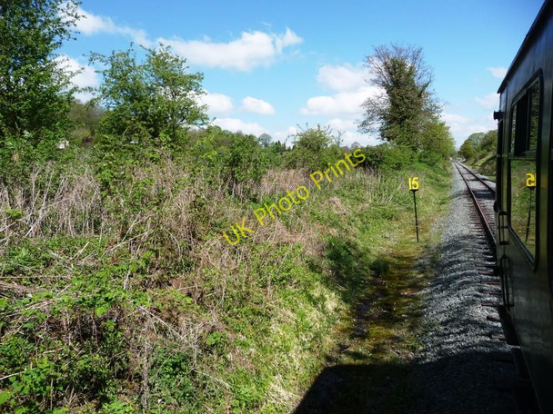 Photo 6"x4" Hedgerow alongside the railway line. Llynclys c2010